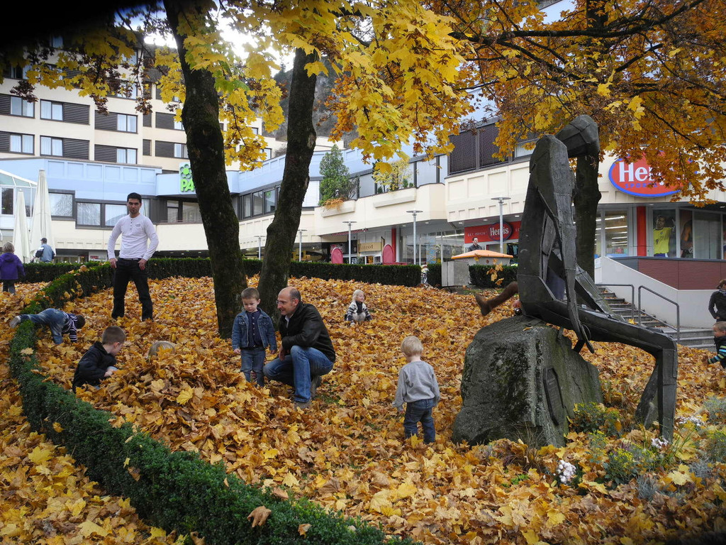 DSCN6878_JPG-1320501774