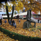 DSCN6881_JPG-1320501801