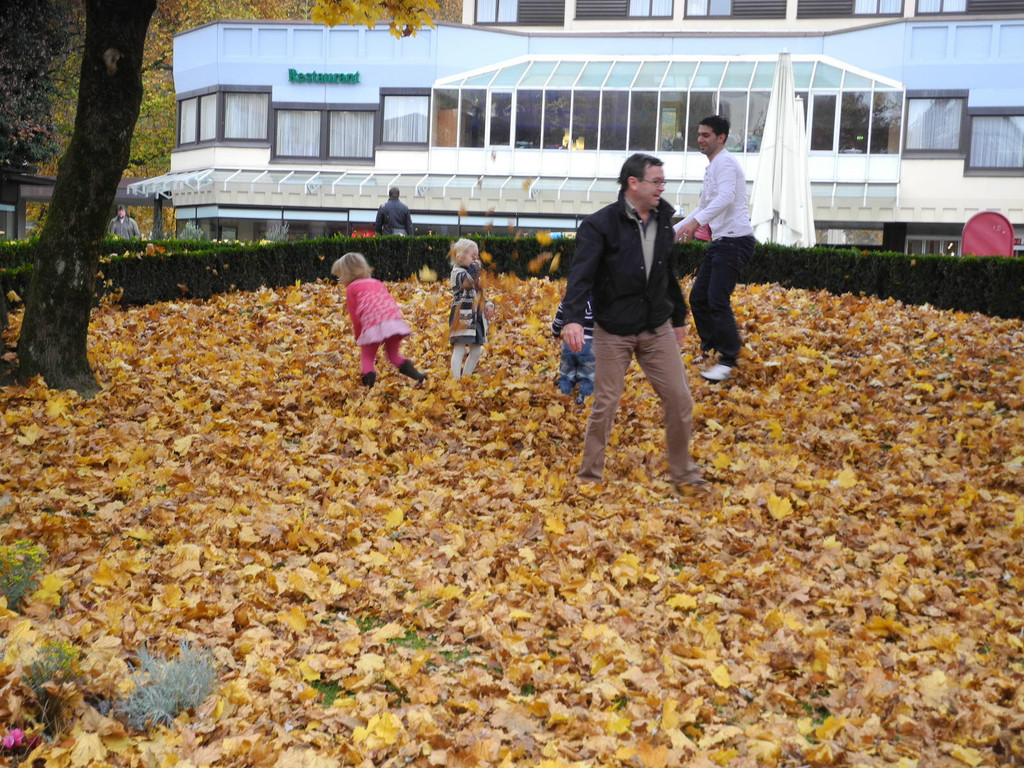 DSCN6874_JPG-1320501717