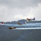 DSC_0604.jpg