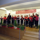 PB041483.JPG