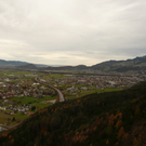 P1090352.JPG