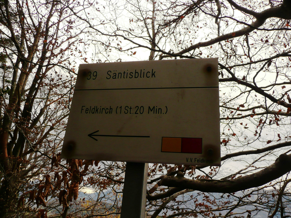 P1090355.JPG