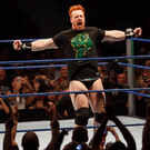 WWE SmackDown World Tour 2011 - Wien - Florian Wieser-38.jpg