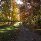 normal_05112011HerbstReichenhall_BSaktivnews_021.jpg