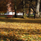 normal_05112011HerbstReichenhall_BSaktivnews_022.jpg