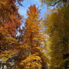 normal_05112011HerbstReichenhall_BSaktivnews_023.jpg