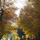 normal_05112011HerbstReichenhall_BSaktivnews_027.jpg