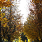 normal_05112011HerbstReichenhall_BSaktivnews_030.jpg
