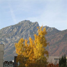 normal_05112011HerbstReichenhall_BSaktivnews_032.jpg