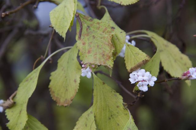 normal_06112011goldenerherbstmmaktivnews__10_.jpg