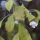 normal_06112011goldenerherbstmmaktivnews__10_.jpg