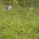 normal_06112011goldenerherbstmmaktivnews__16_.jpg