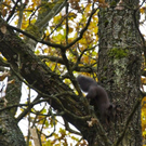 normal_06112011goldenerherbstmmaktivnews__26_.jpg