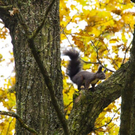 normal_06112011goldenerherbstmmaktivnews__28_.jpg