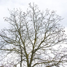 normal_06112011goldenerherbstmmaktivnews__31_.jpg