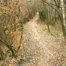 Lustenau am Rohr _05__JPG-1320591787