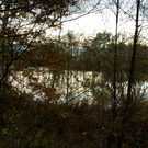 Lustenau am Rohr _08__JPG-1320591900