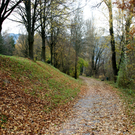 Lustenau am Rohr _09__JPG-1320591962