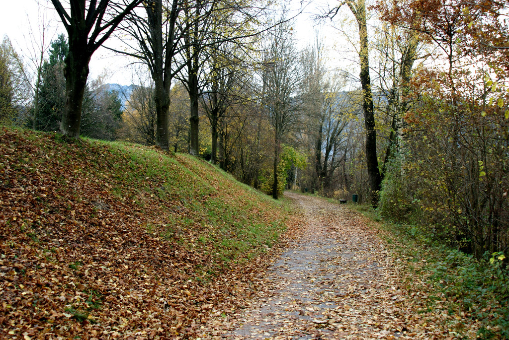 Lustenau am Rohr _09__JPG-1320591962