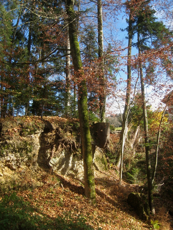 Eichenberg Wanderung M__ggersrunde 06-11-2011 _2__jpg-1320620648