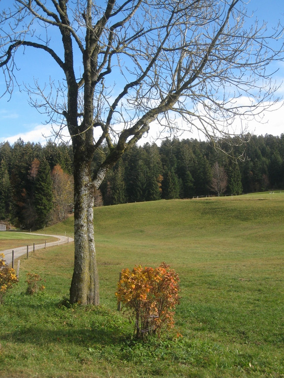 Eichenberg Wanderung M__ggersrunde 06-11-2011 _3__jpg-1320620654