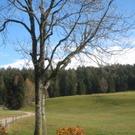 Eichenberg Wanderung M__ggersrunde 06-11-2011 _3__jpg-1320620654