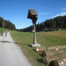 Eichenberg Wanderung M__ggersrunde 06-11-2011 _4__jpg-1320620658