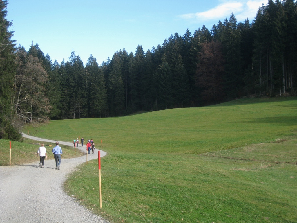 Eichenberg Wanderung M__ggersrunde 06-11-2011 _6__jpg-1320620666