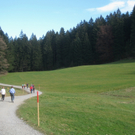Eichenberg Wanderung M__ggersrunde 06-11-2011 _6__jpg-1320620666