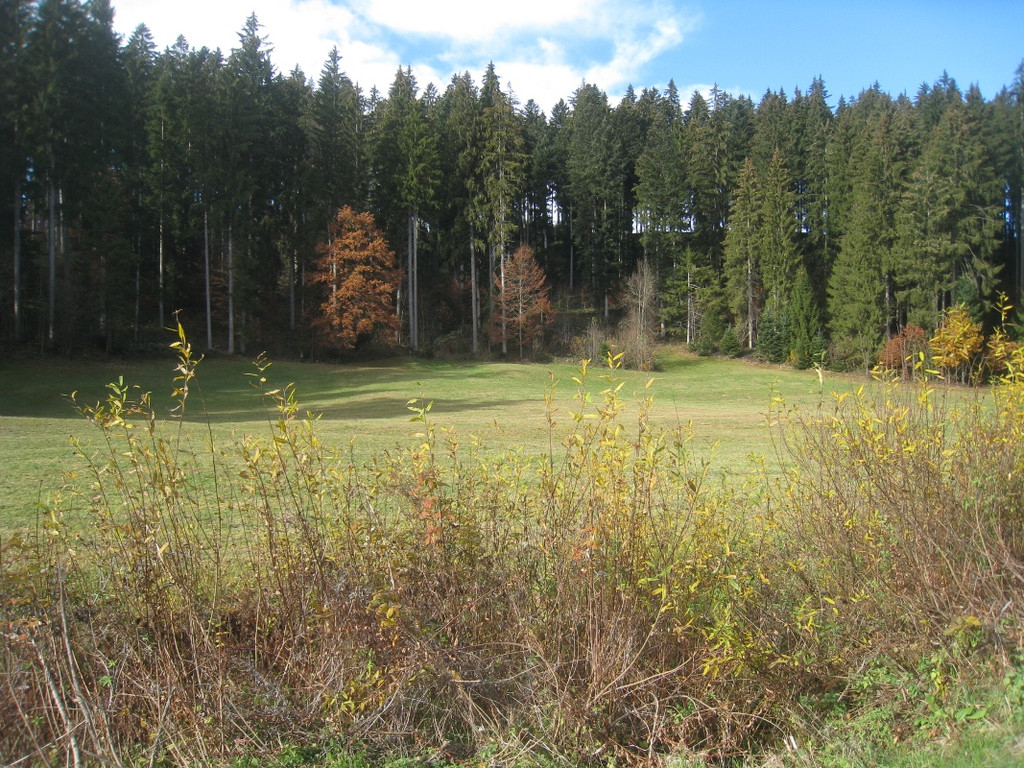 Eichenberg Wanderung M__ggersrunde 06-11-2011 _7__jpg-1320620672