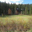 Eichenberg Wanderung M__ggersrunde 06-11-2011 _7__jpg-1320620672