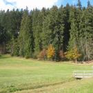 Eichenberg Wanderung M__ggersrunde 06-11-2011 _8__jpg-1320620678