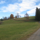 Eichenberg Wanderung M__ggersrunde 06-11-2011 _11__jpg-1320620692