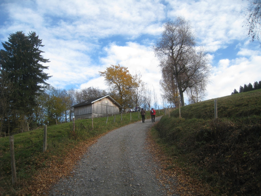 Eichenberg Wanderung M__ggersrunde 06-11-2011 _13__jpg-1320620701