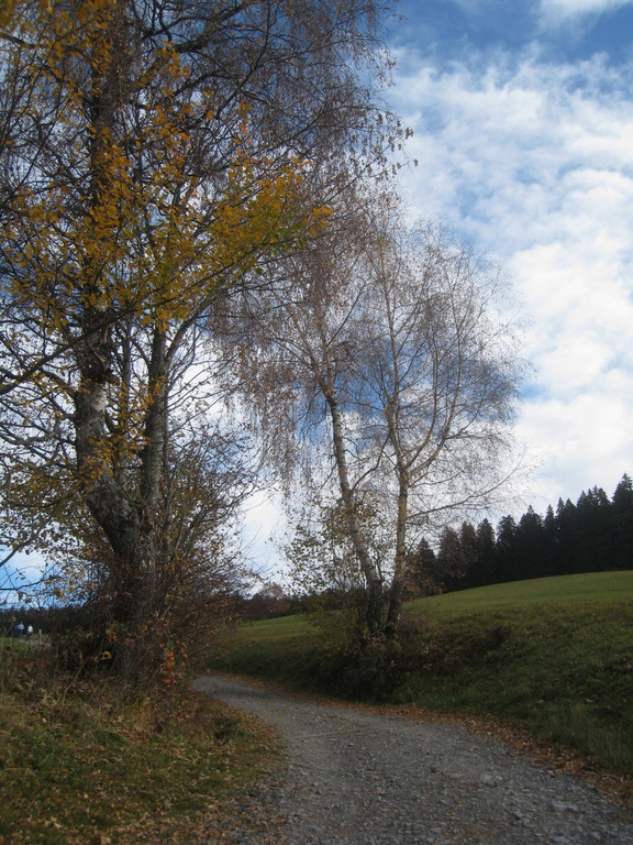 Eichenberg Wanderung M__ggersrunde 06-11-2011 _14__jpg-1320620707