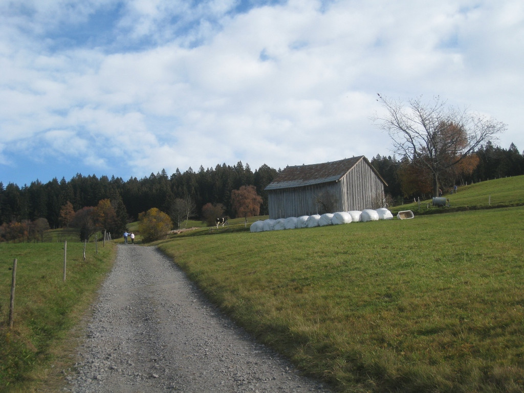 Eichenberg Wanderung M__ggersrunde 06-11-2011 _15__jpg-1320620710