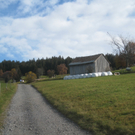 Eichenberg Wanderung M__ggersrunde 06-11-2011 _15__jpg-1320620710