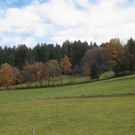 Eichenberg Wanderung M__ggersrunde 06-11-2011 _17__jpg-1320620717