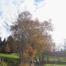 Eichenberg Wanderung M__ggersrunde 06-11-2011 _18__jpg-1320620722