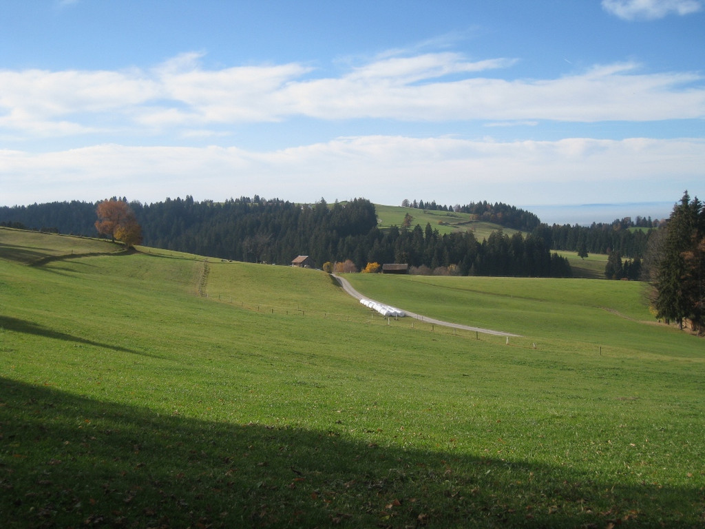 Eichenberg Wanderung M__ggersrunde 06-11-2011 _19__jpg-1320620725