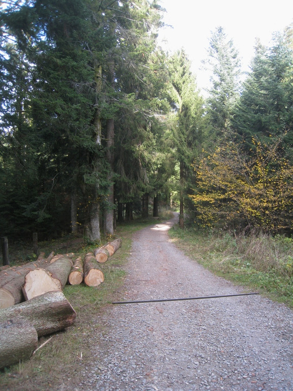 Eichenberg Wanderung M__ggersrunde 06-11-2011 _22__jpg-1320620741