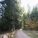 Eichenberg Wanderung M__ggersrunde 06-11-2011 _22__jpg-1320620741