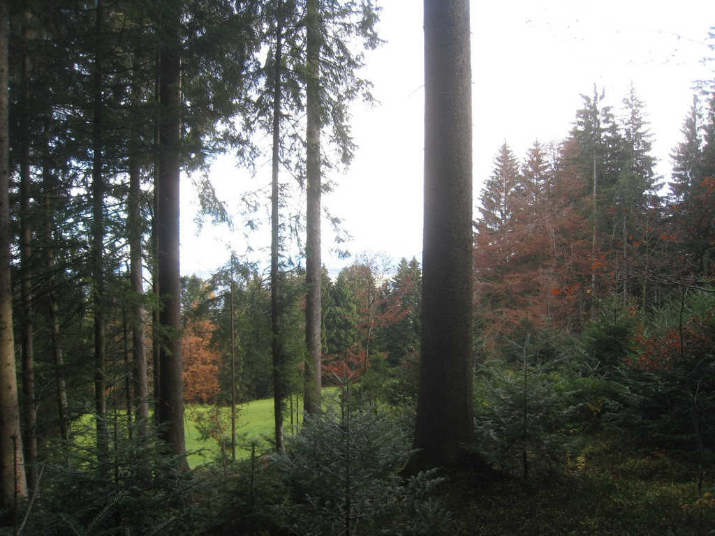 Eichenberg Wanderung M__ggersrunde 06-11-2011 _24__jpg-1320620752