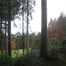 Eichenberg Wanderung M__ggersrunde 06-11-2011 _24__jpg-1320620752