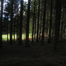 Eichenberg Wanderung M__ggersrunde 06-11-2011 _26__jpg-1320620761