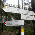Eichenberg Wanderung M__ggersrunde 06-11-2011 _27__jpg-1320620766
