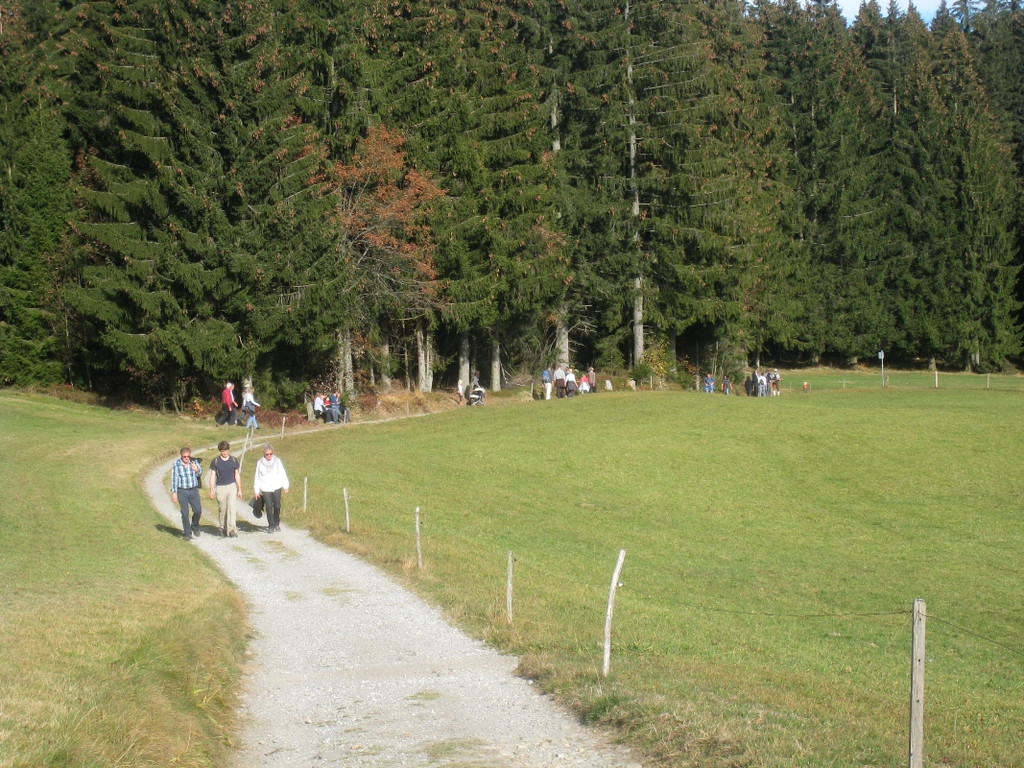 Eichenberg Wanderung M__ggersrunde 06-11-2011 _29__jpg-1320620776