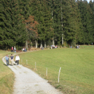 Eichenberg Wanderung M__ggersrunde 06-11-2011 _29__jpg-1320620776