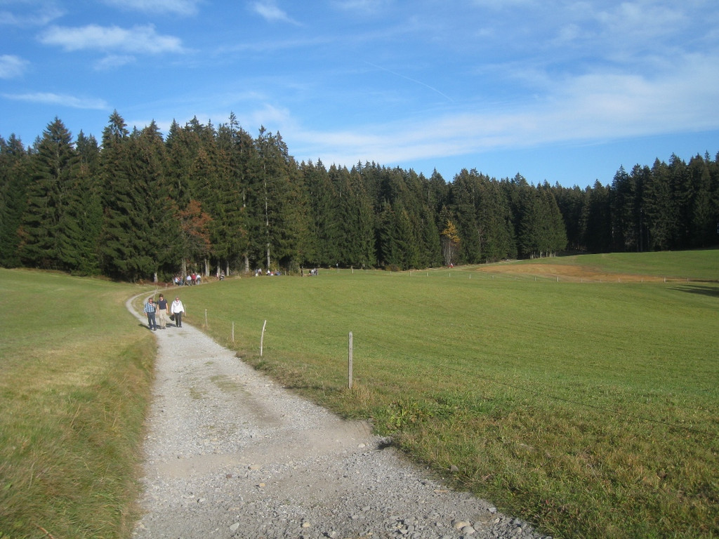 Eichenberg Wanderung M__ggersrunde 06-11-2011 _30__jpg-1320620780